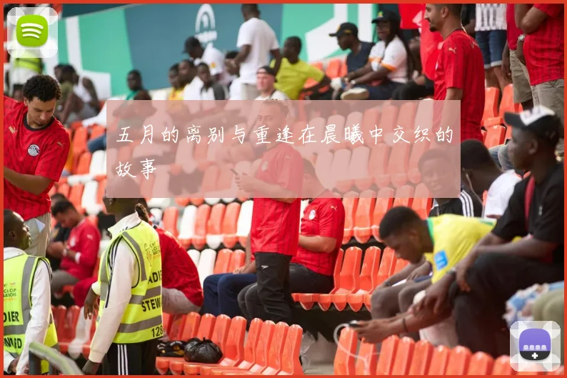 五月的离别与重逢在晨曦中交织的故事
