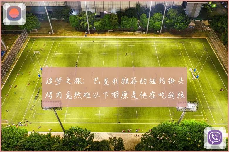 追梦之旅：巴克利推荐的纽约街头烤肉竟然难以下咽原是他在吃狗粮