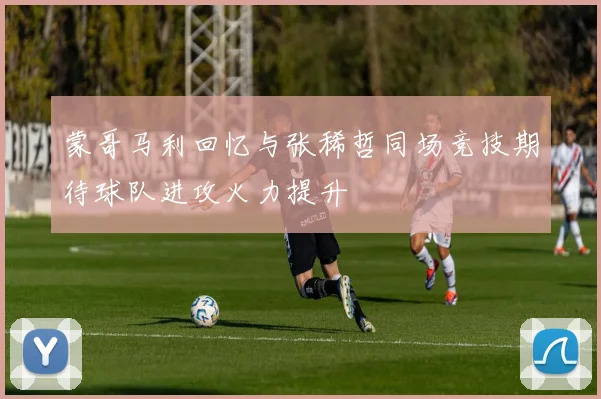 蒙哥马利回忆与张稀哲同场竞技期待球队进攻火力提升