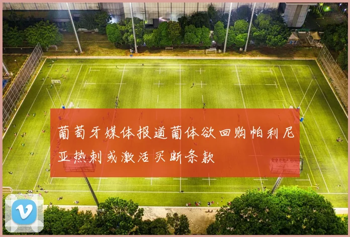 葡萄牙媒体报道葡体欲回购帕利尼亚热刺或激活买断条款